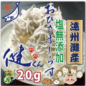 塩無添加健くん20ｇ